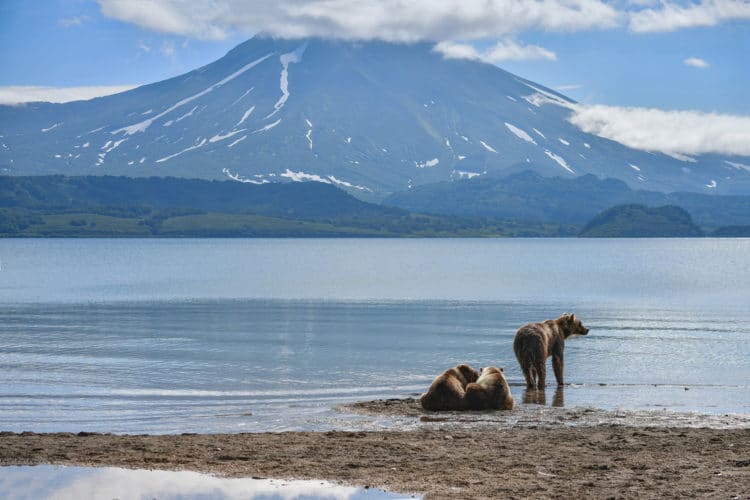 Курильское озеро - достопримечательности Камчатки