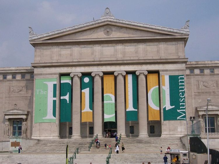 Филдовский музей естественной истории - достопримечательности Чикаго