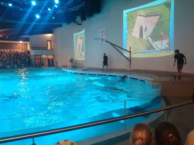 Литовский морской музей–аквариум в Литве