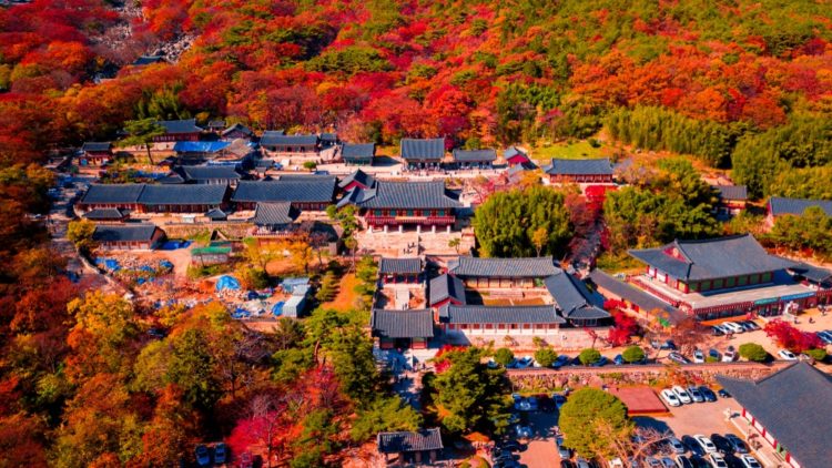 Храм Помоса в Южной Корее