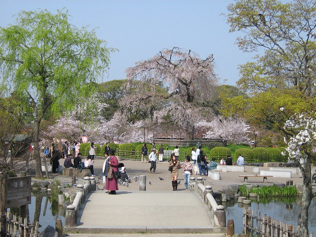 Парк Маруяма в Японии