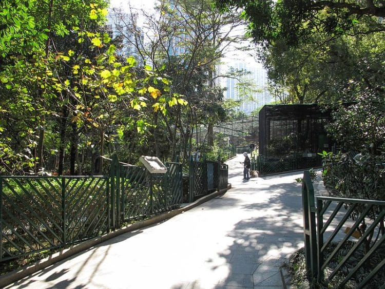 Зоопарк и ботанический сад в Китае