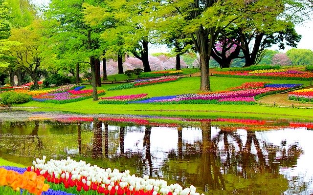 Парк цветов Кёкенхоф - достопримечательности Нидерландов