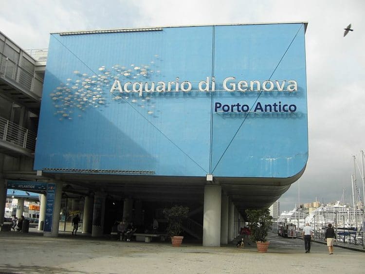 Аквариум - достопримечательности Генуи